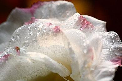 玩家吐槽《星空》新补丁：更新慢内容少 让人失望